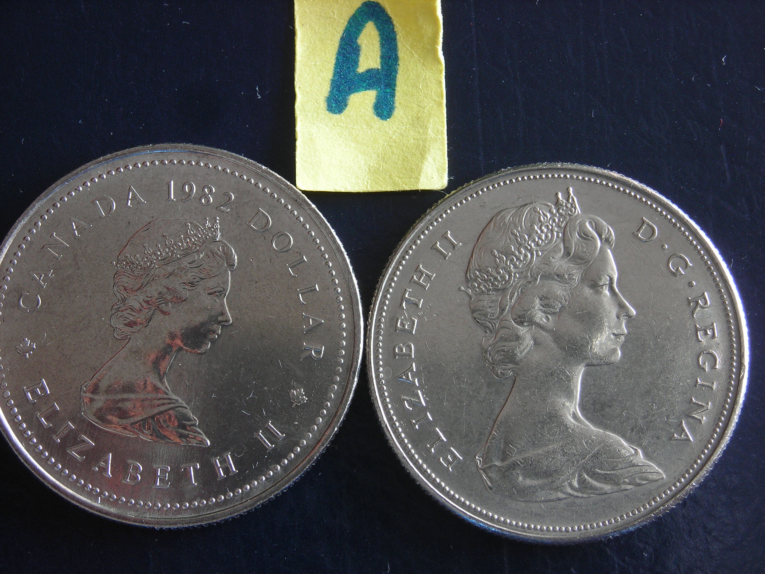 DSCN1206.JPG