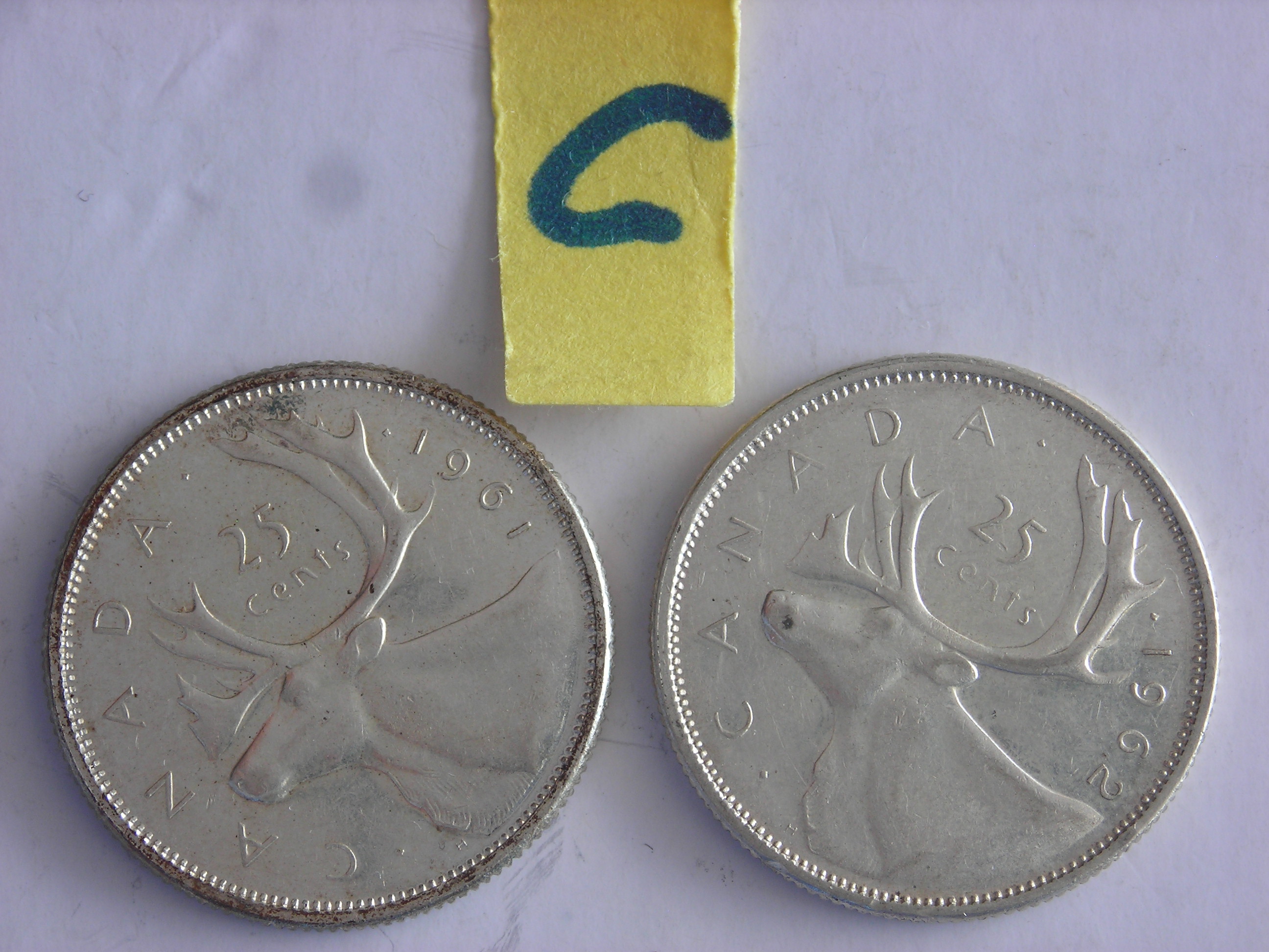 DSCN1235.JPG