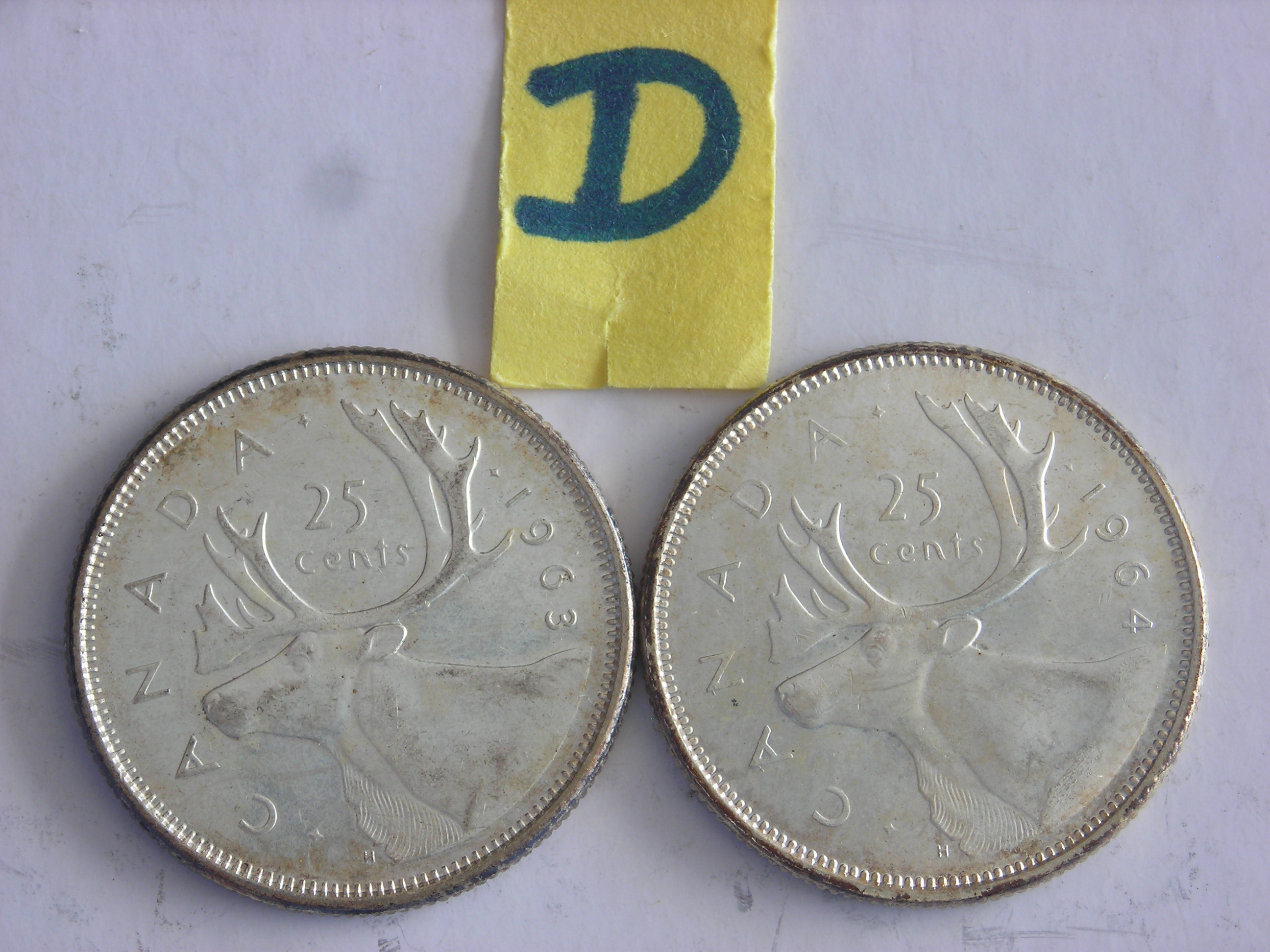 DSCN1237.JPG