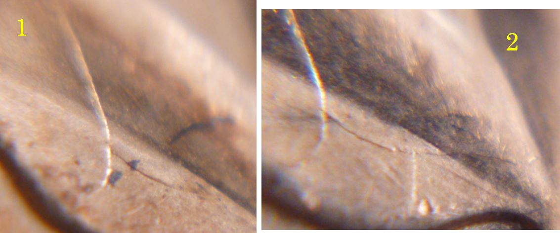 1 Cent 2008- Coin fendillé sur les feuilles-3.JPG