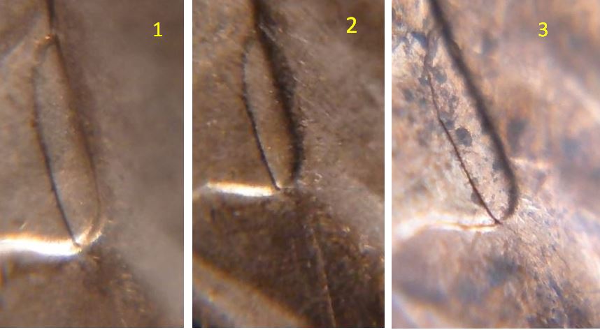 1 Cent 2008- Coin fendillé sur les feuilles-4.JPG