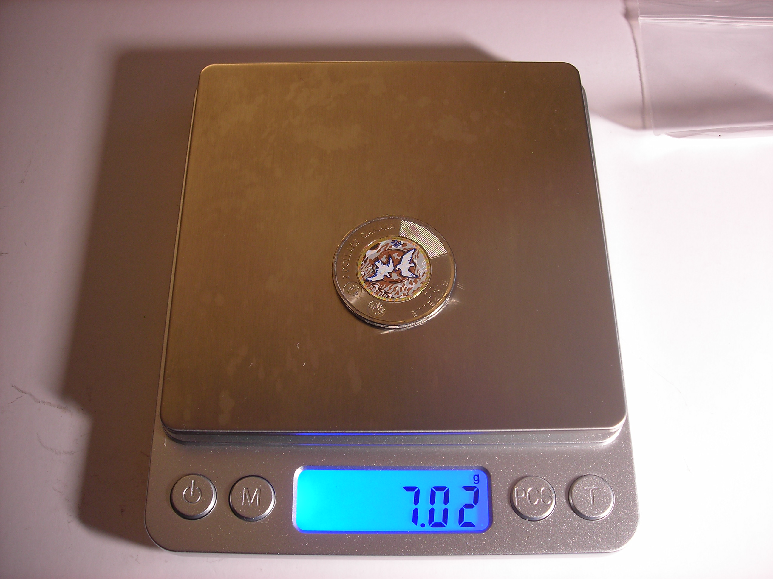 DSCN1242.JPG
