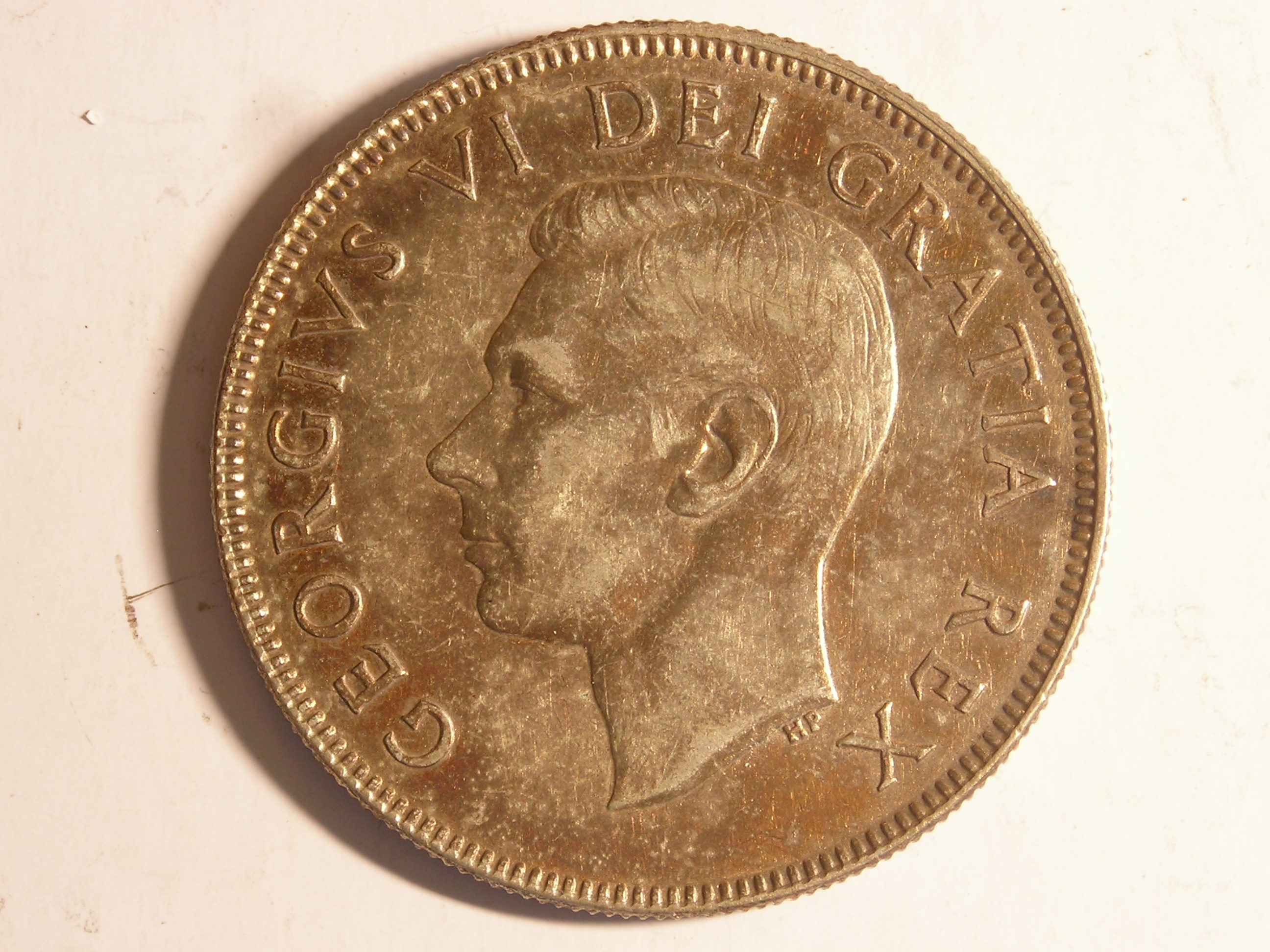 DSCN1251.JPG