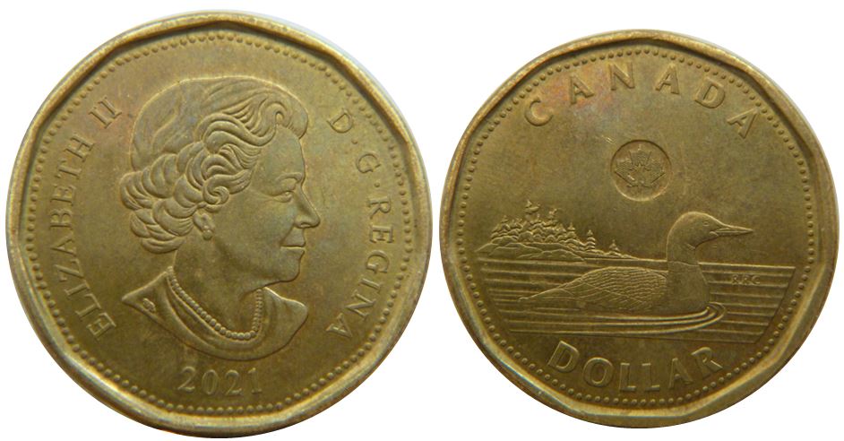 1 Dollar 2021-Coin fendillé sous les arbres-1.JPG