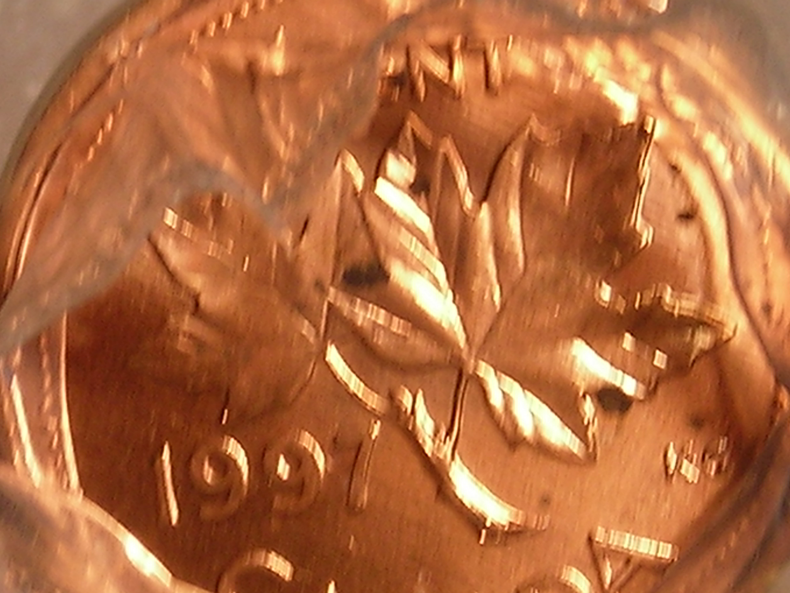 DSCN1257.JPG