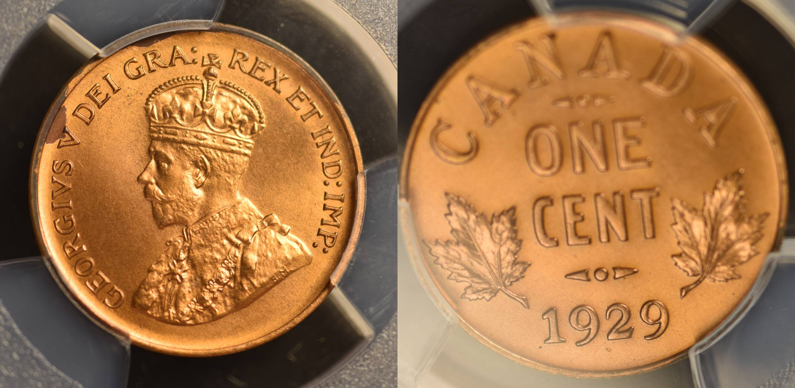1929 for web obv&rev v2.jpg