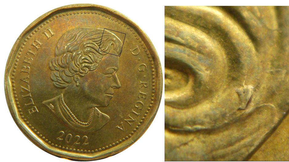 1 Dollar 2022-Éclat coin-Coin fendillé sur tête-1,.JPG