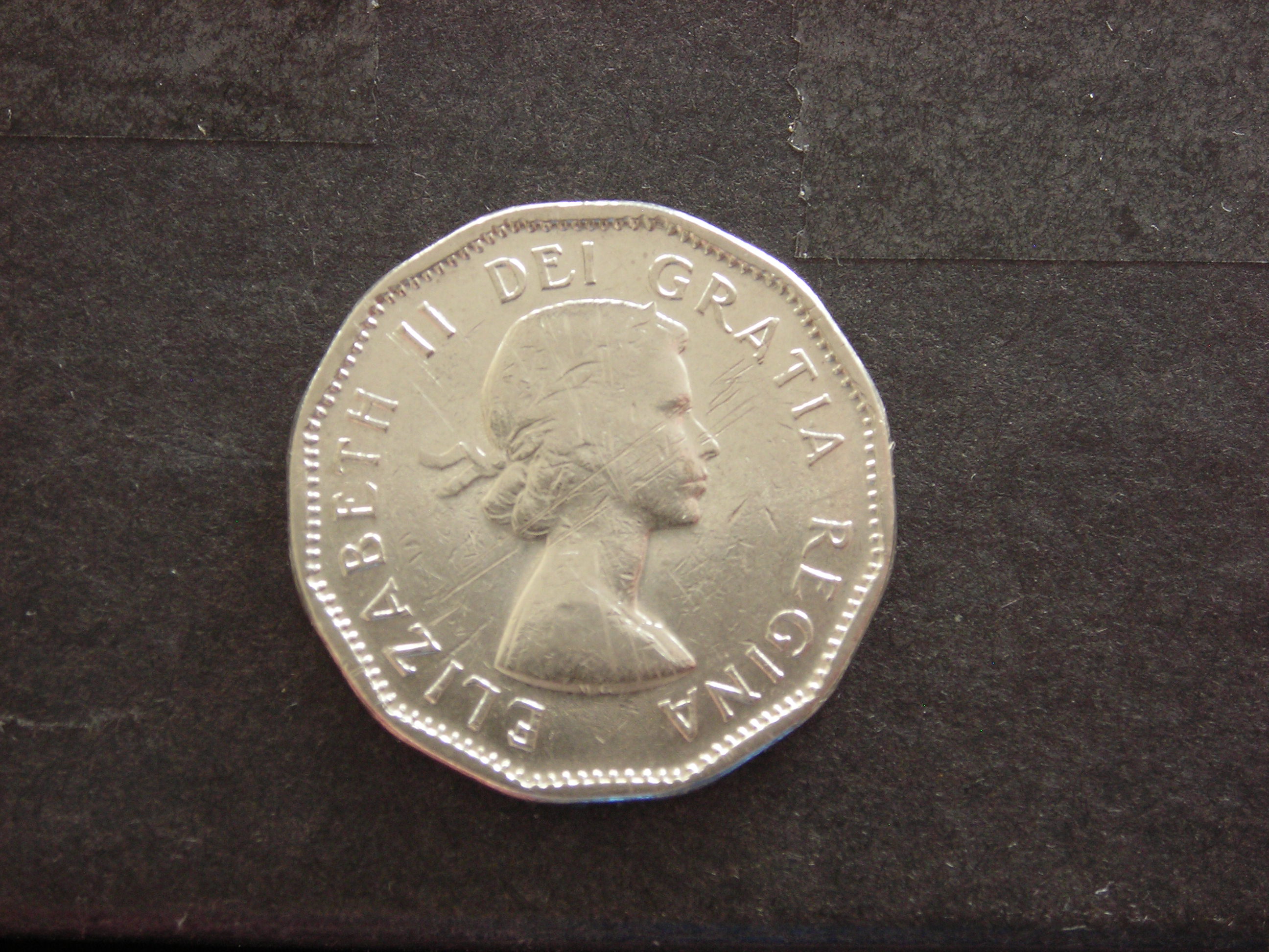 DSCN4175.JPG