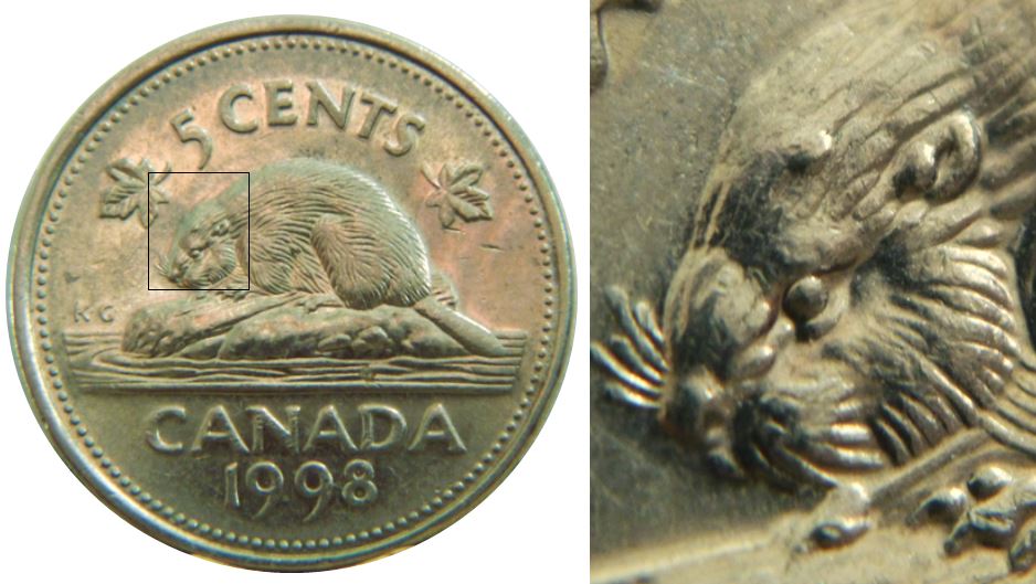 5 Cents 1998-Éclat coin sur la tête du castor-1.JPG