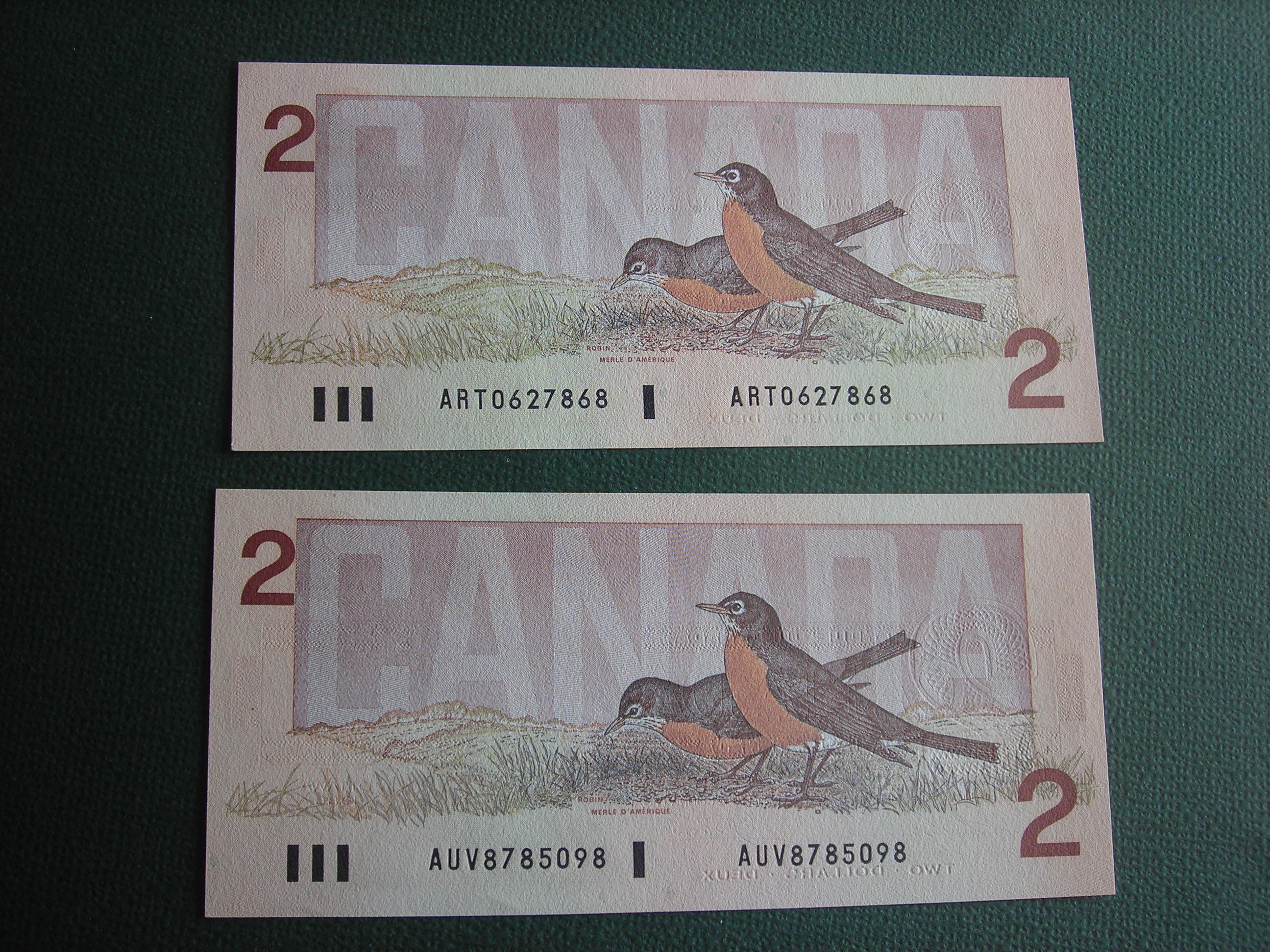 DSCN1315.JPG