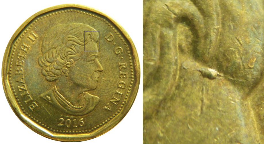 1 Dollar 2016-Coin fendillé C de Canada-Éclat sur front de effigie-1.JPG