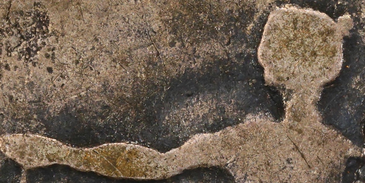Capture d’écran tete.jpg