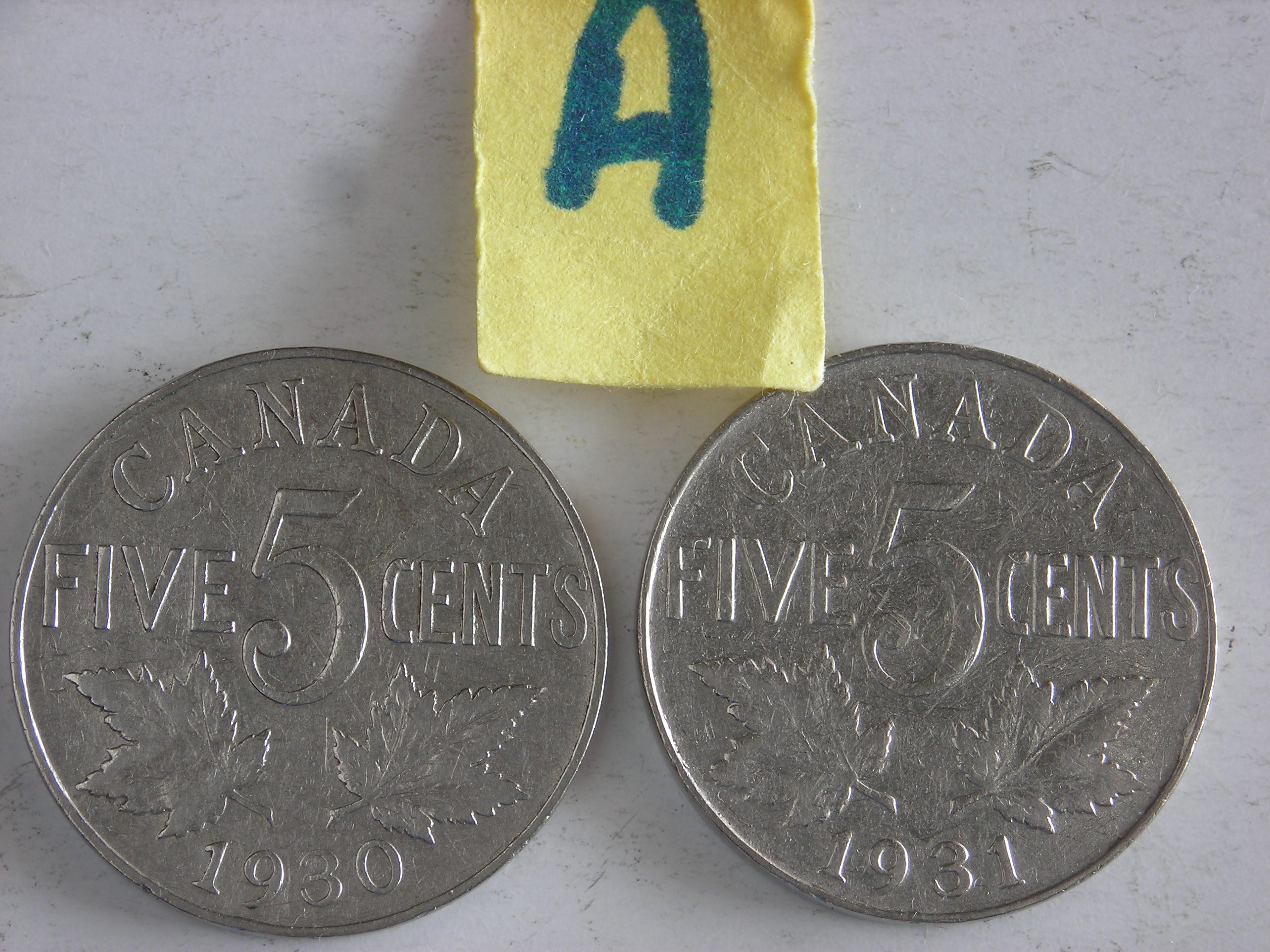 DSCN1336.JPG