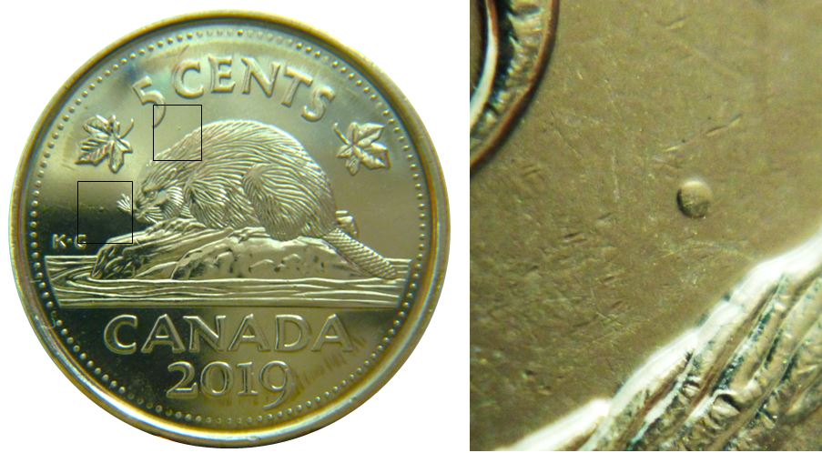 5 Cents 2019-Point sous 5 et point devant castor-No.2,.JPG