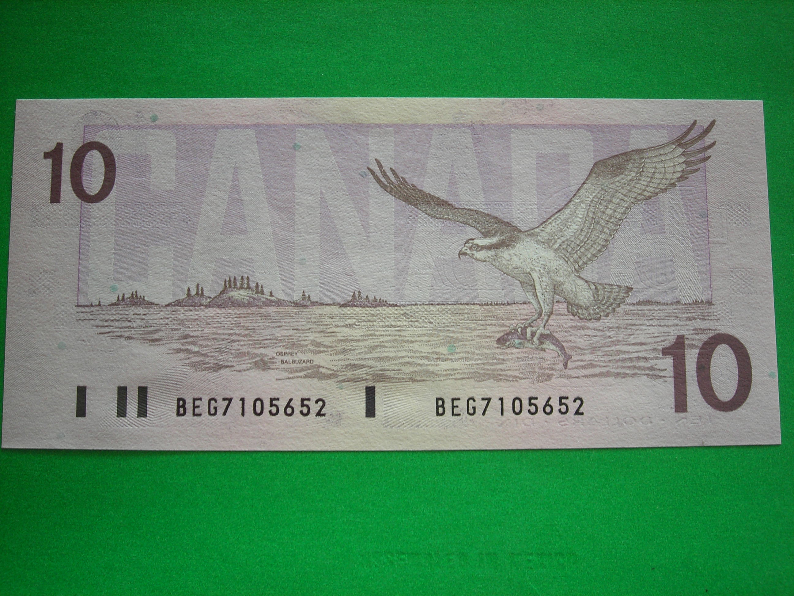 DSCN4188.JPG