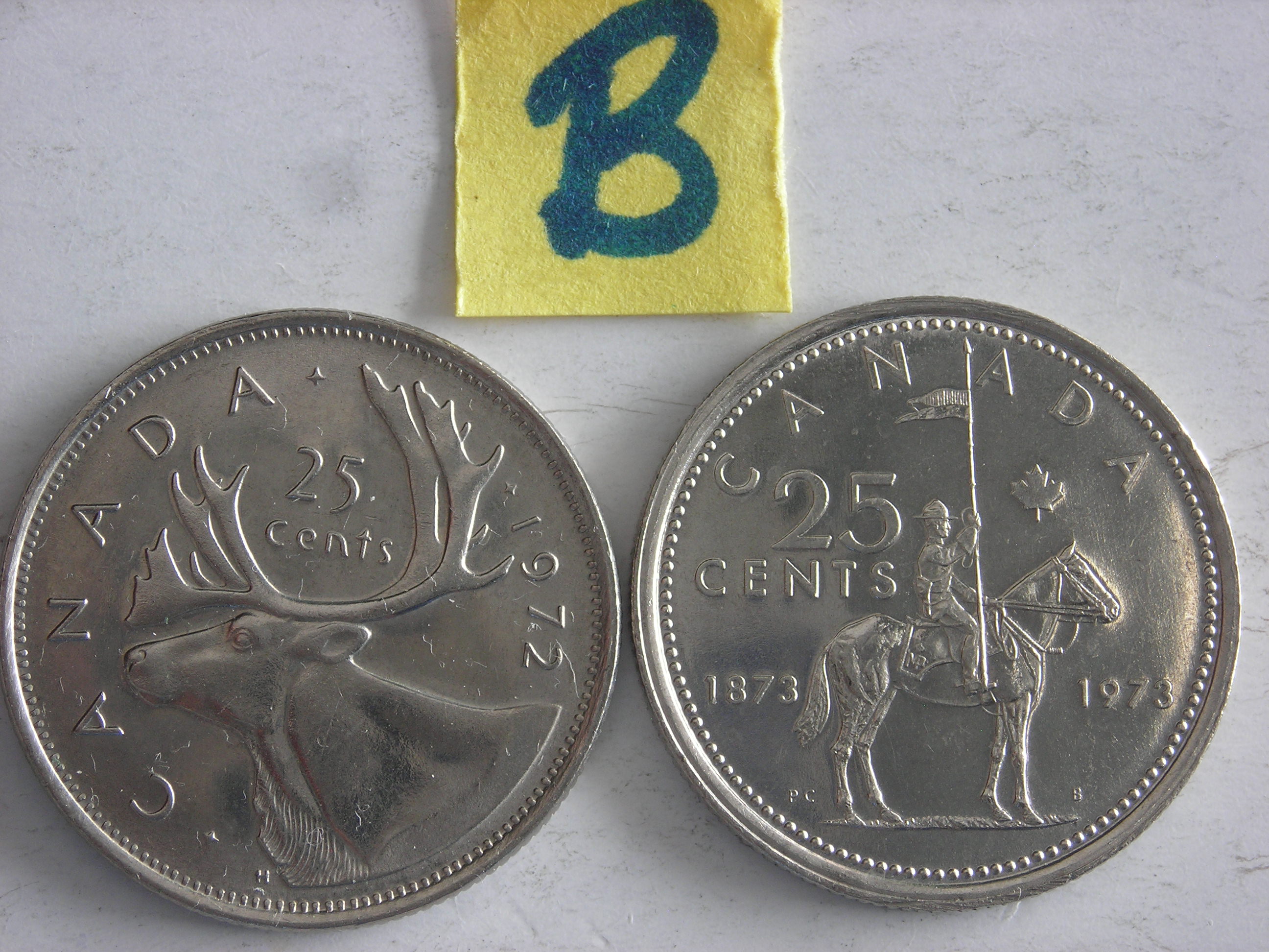 DSCN1363.JPG