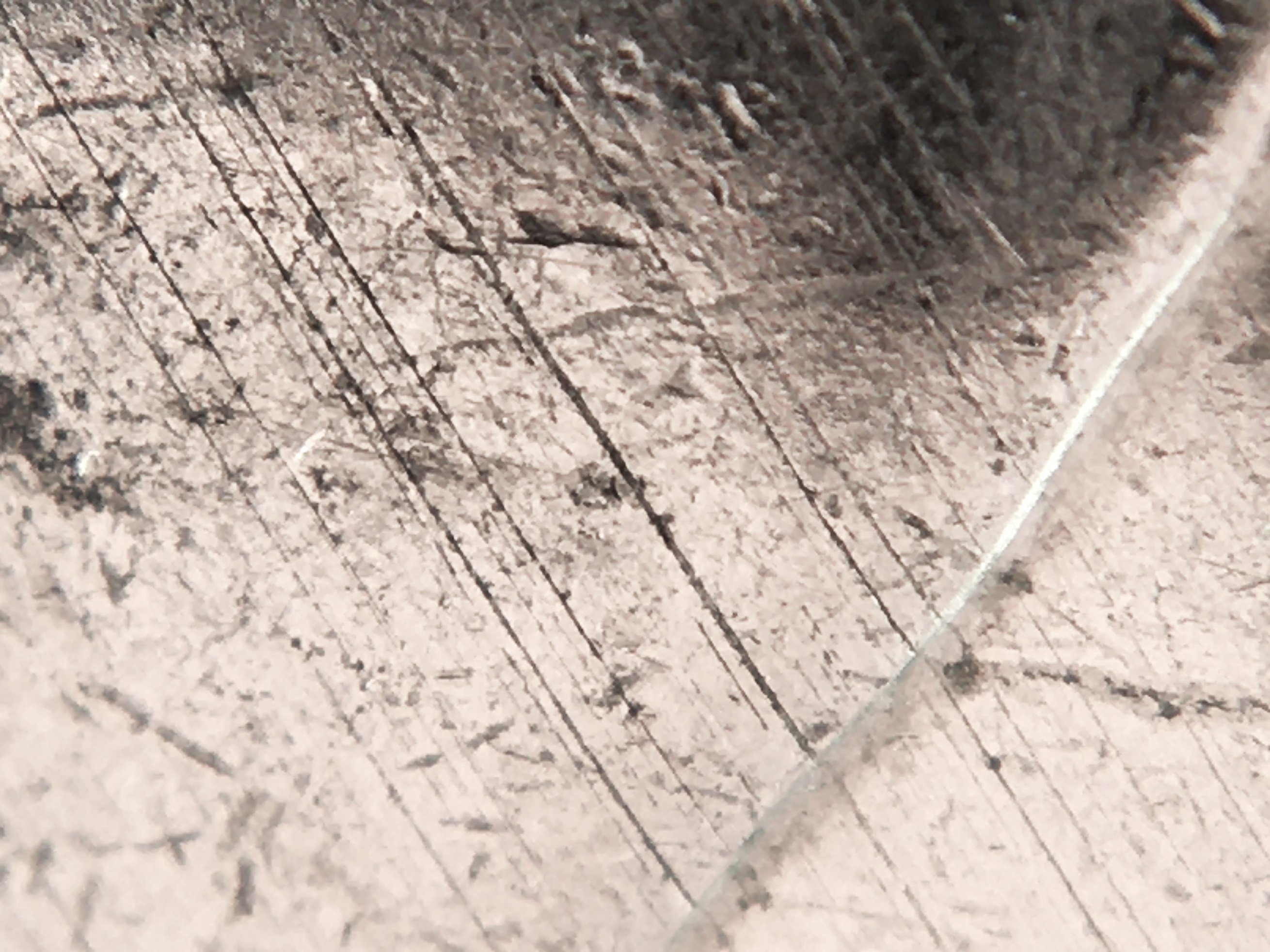 Lignes sous effigie.JPG