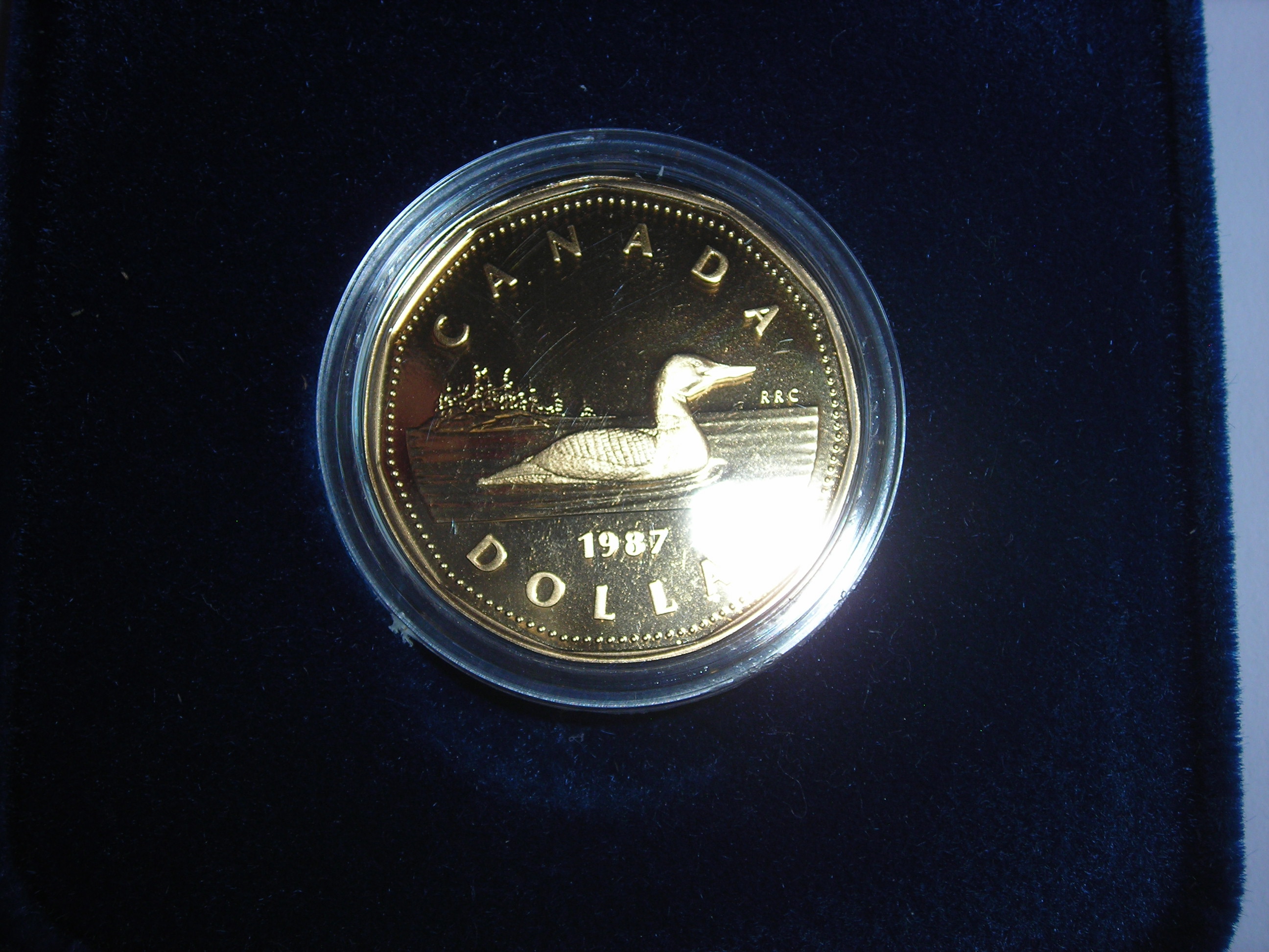 DSCN4210.JPG
