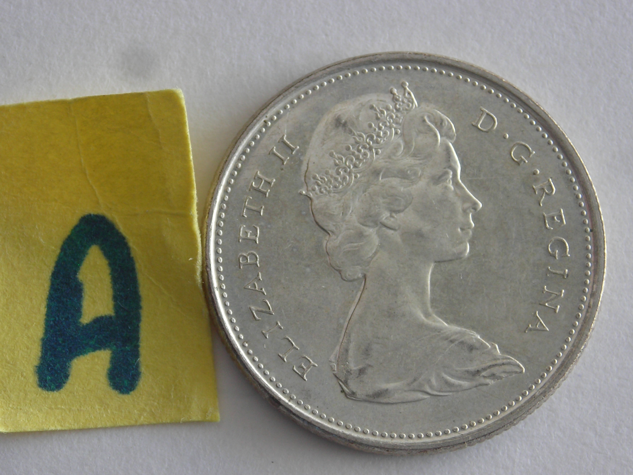 DSCN1425.JPG