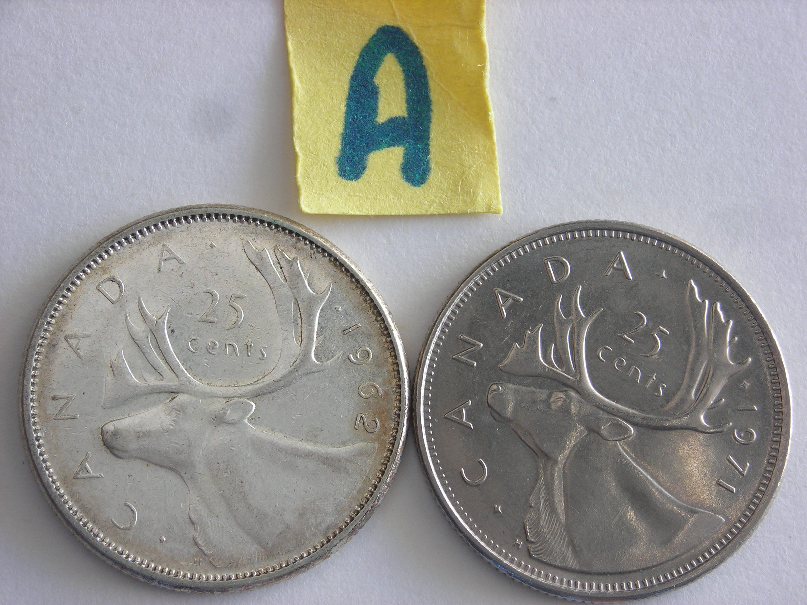 DSCN1422.JPG