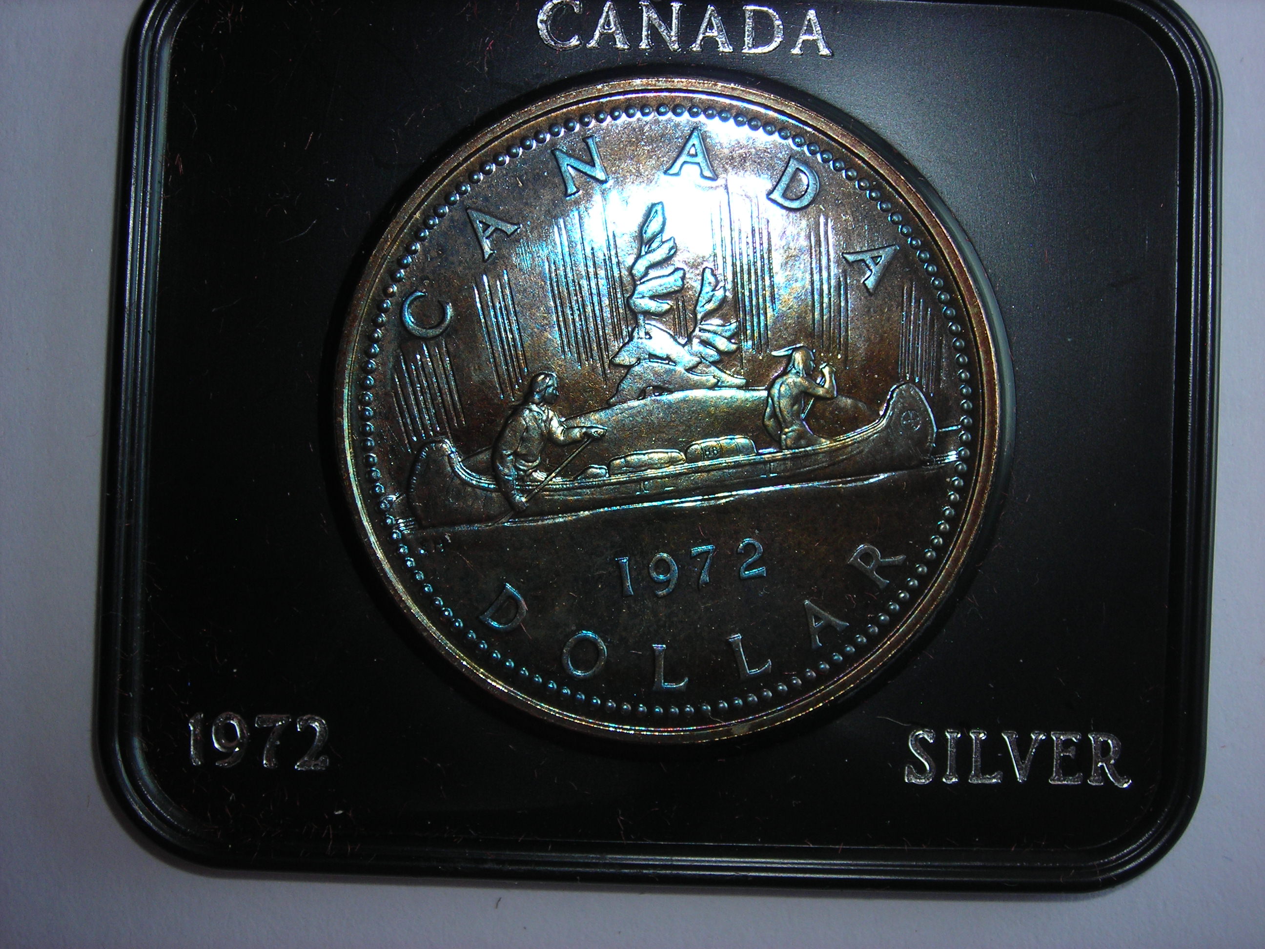 DSCN4215.JPG
