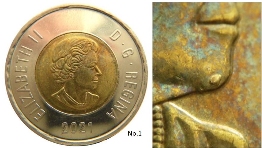 2 Dollars 2021-Éclat coin sur le menton de effigie-No.1,.JPG