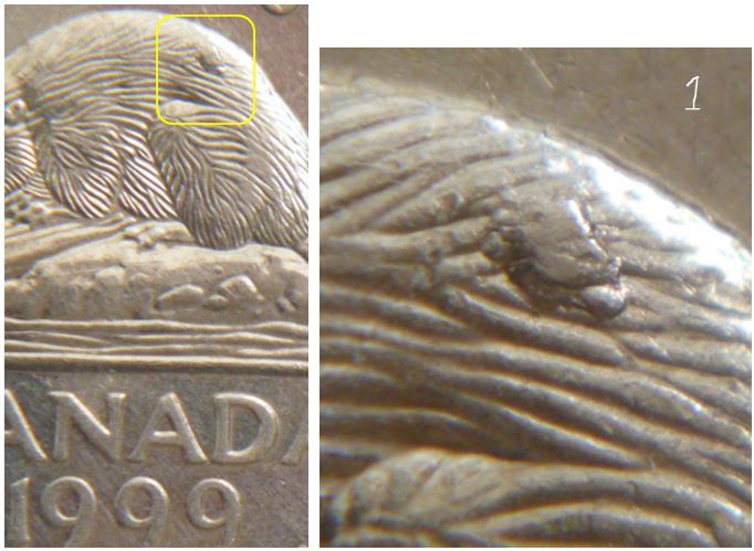 5 Cents 1999-Belle Éclat de coin sur le dos du castor-1.JPG