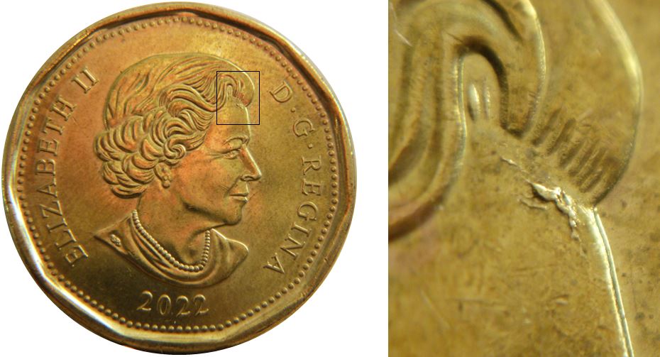 1 Dollar 2022-Éclat coin sur le front-No.1,.JPG