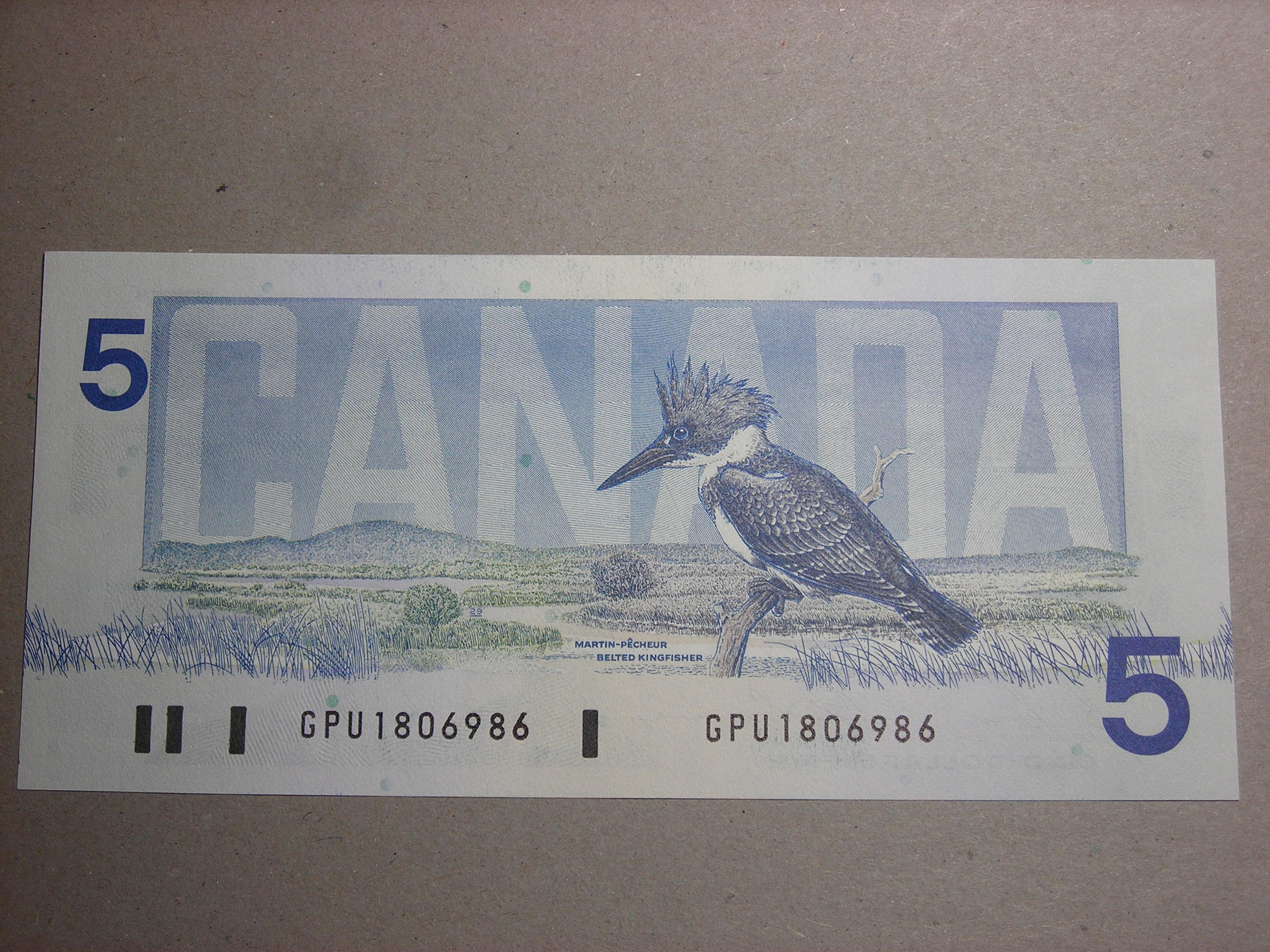 DSCN1548.JPG