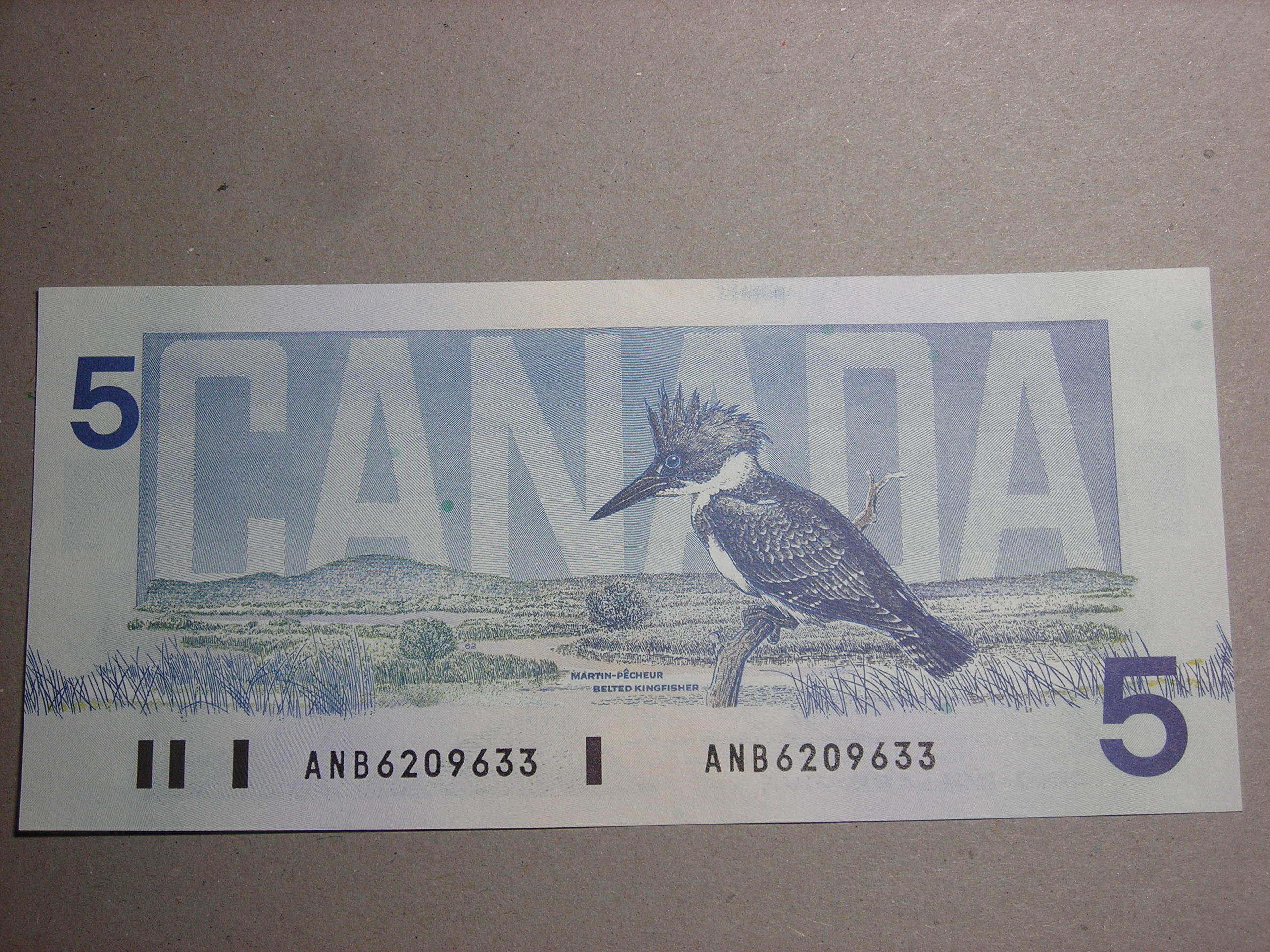 DSCN1546.JPG