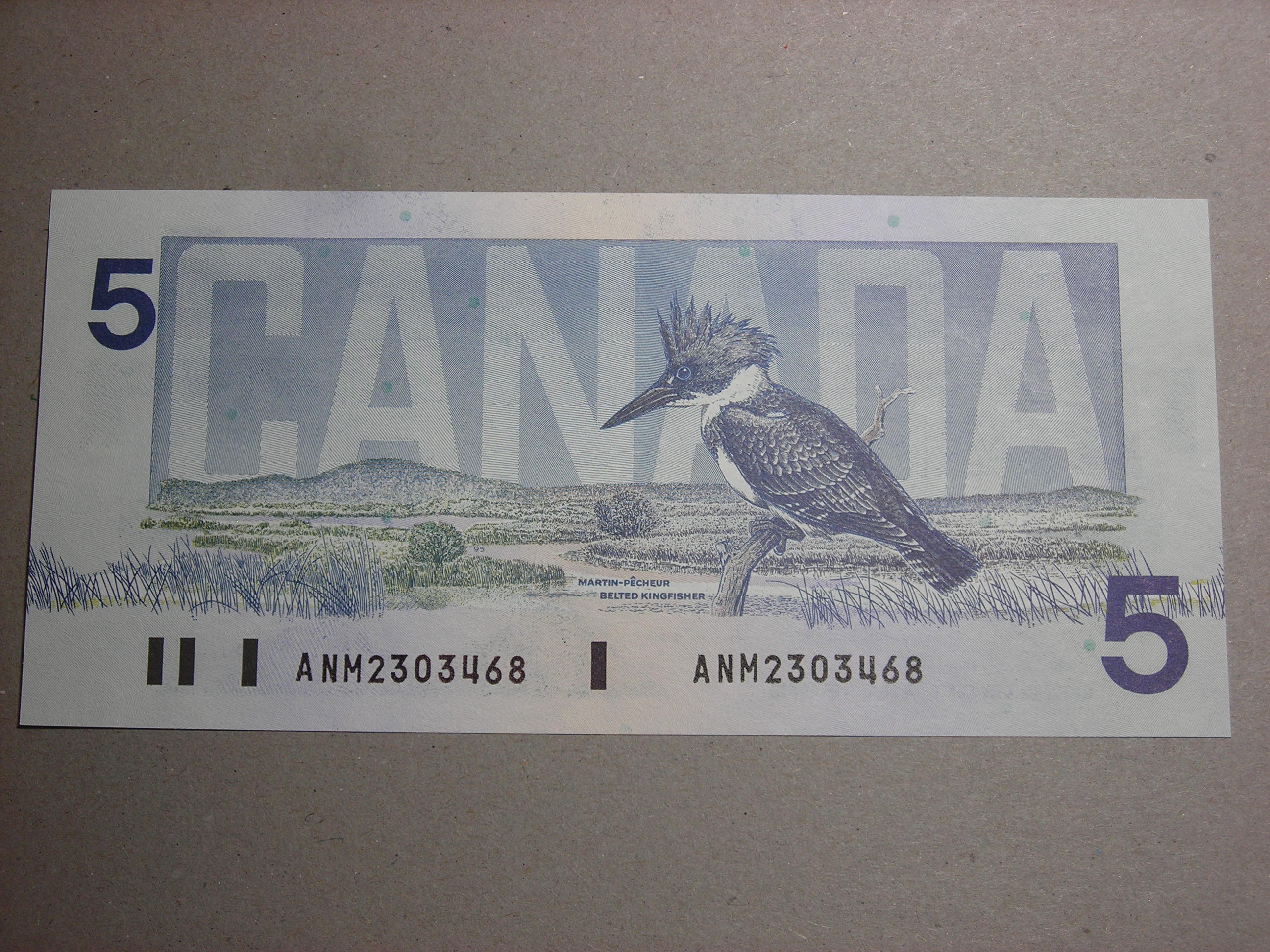 DSCN1543.JPG