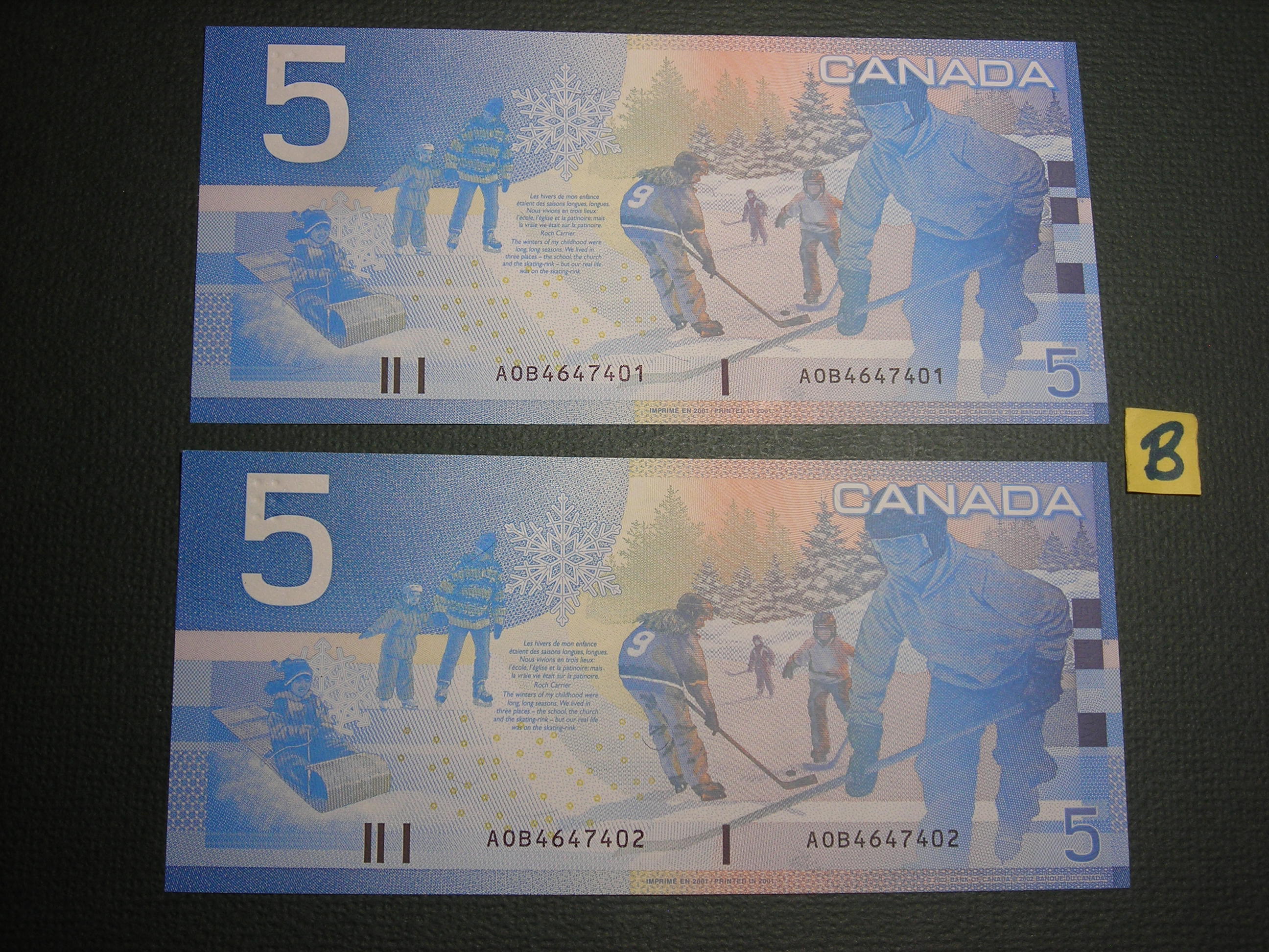 DSCN1556.JPG