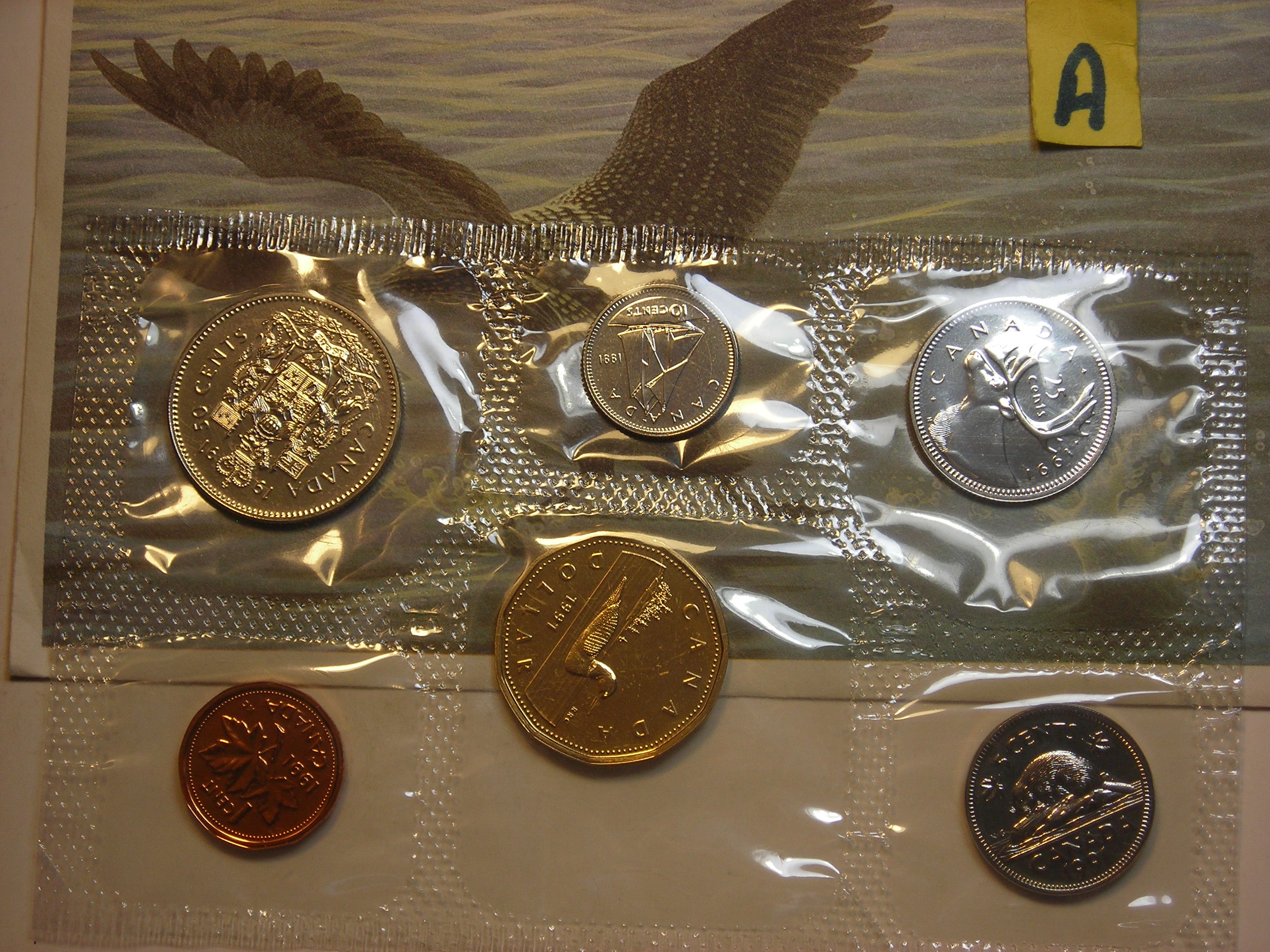 DSCN1614.JPG