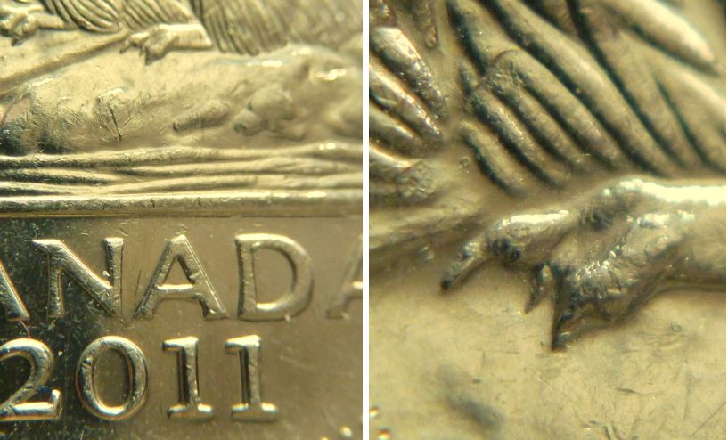 5 Cents 2011-Une griffe extra-Éclat coin patte arrière-1.JPG