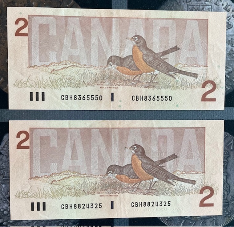 2$ changeover 1986 - revers.jpg