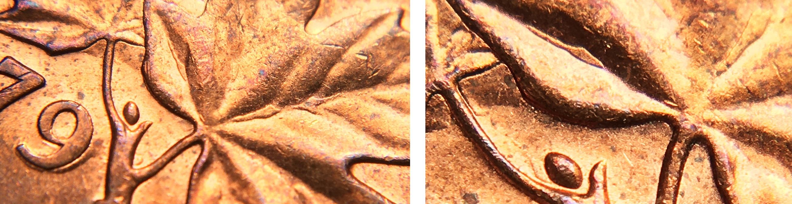 1 cent 1979 nervures assemblé 40.jpg