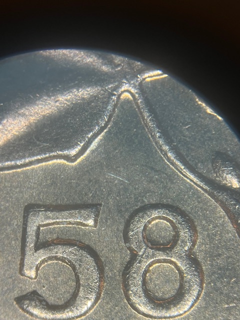 IMG_1504.jpeg
