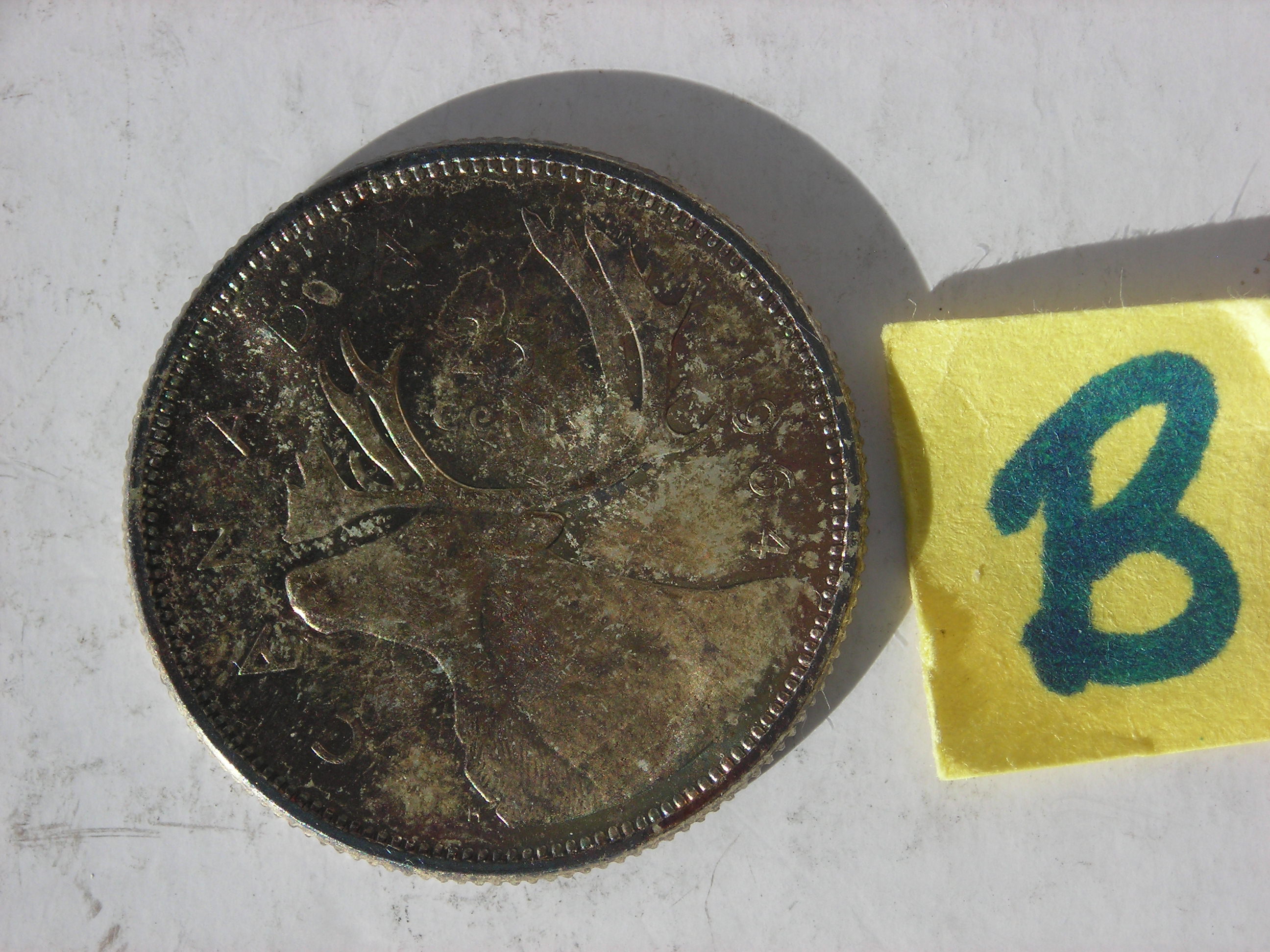 DSCN1732.JPG