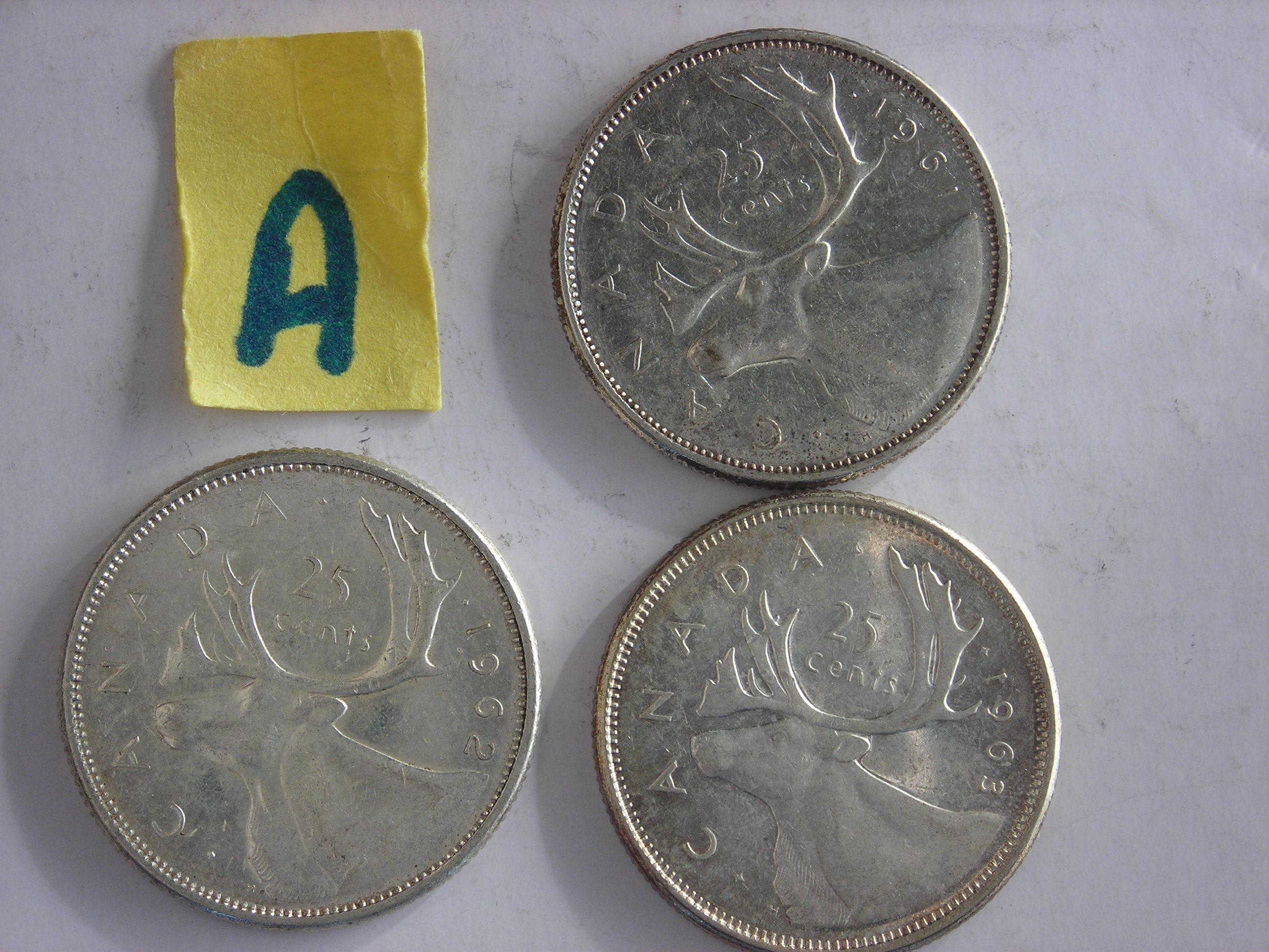 DSCN1725.JPG