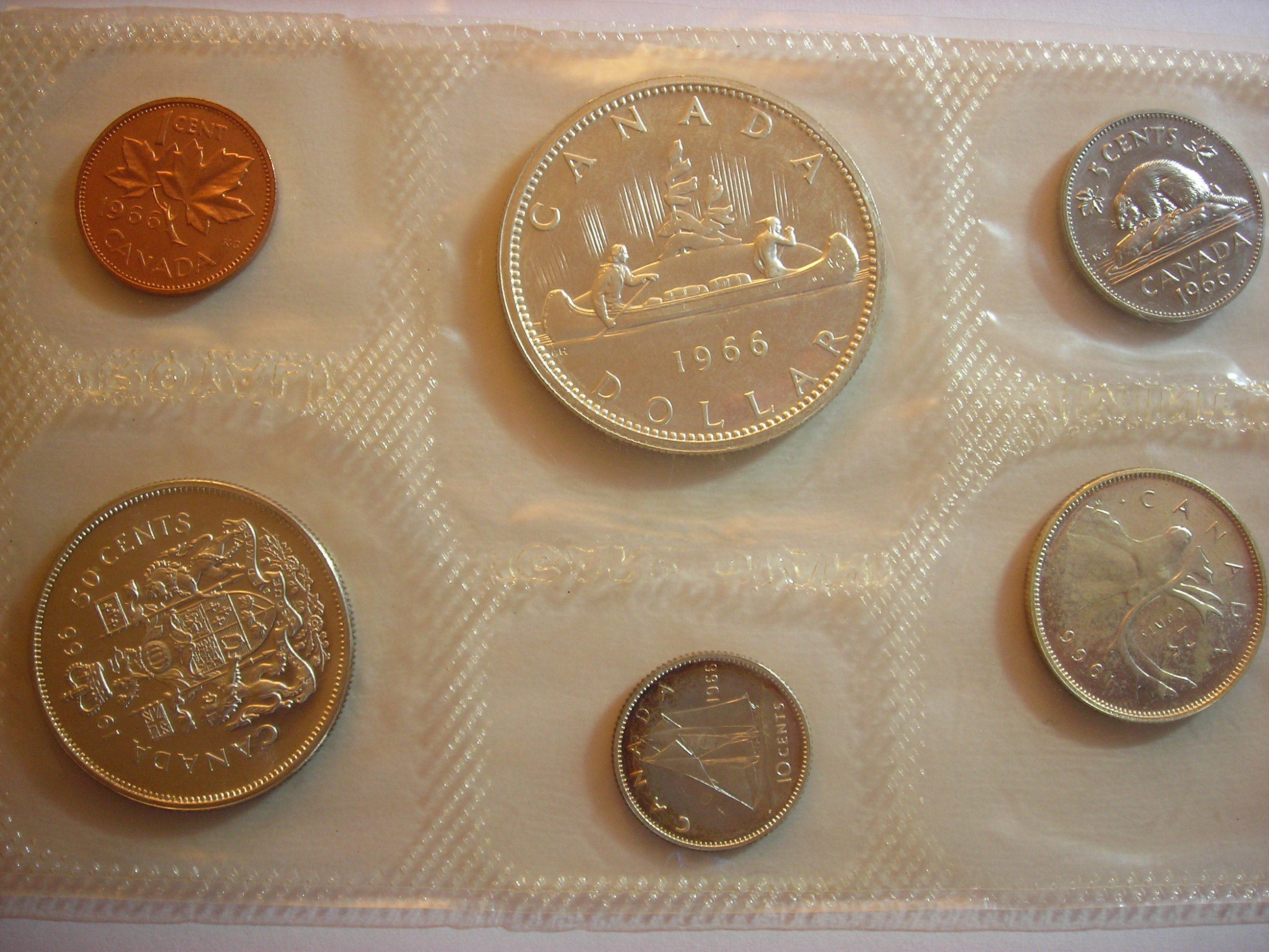 DSCN4248.JPG