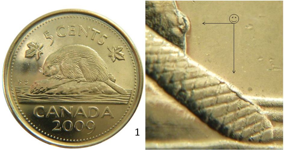 5 Cents 2009-Accumulation sur la queue et derrière la buche-1,.JPG