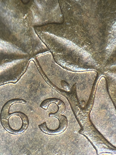 IMG_1875.jpeg