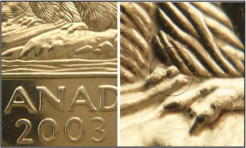 5 Cents 2003-Éclat coin sous abdomen-No,2,.JPG