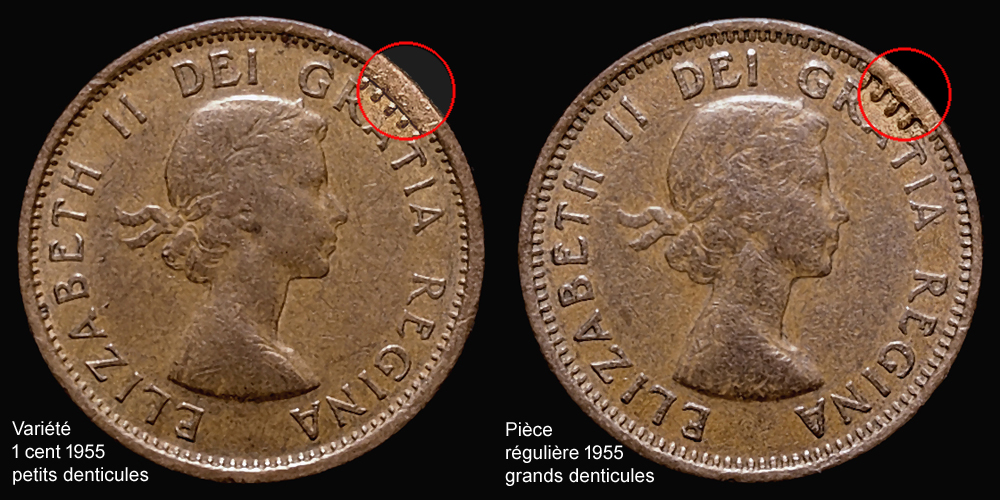 1c 1955 variété rare petits denticules montage 4x8 125.jpg