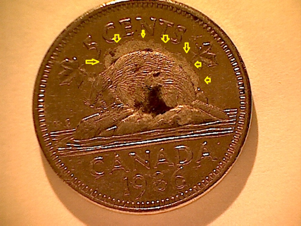 5 Cents 1986 Surplus de métal B524051D Revers.jpg
