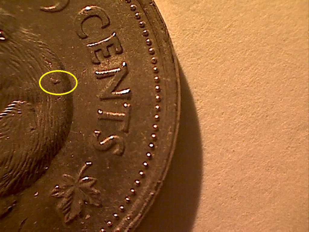 5 Cents 1998 Éclat sur dos et acc date et CANADA B524043C 1 de 2.jpg