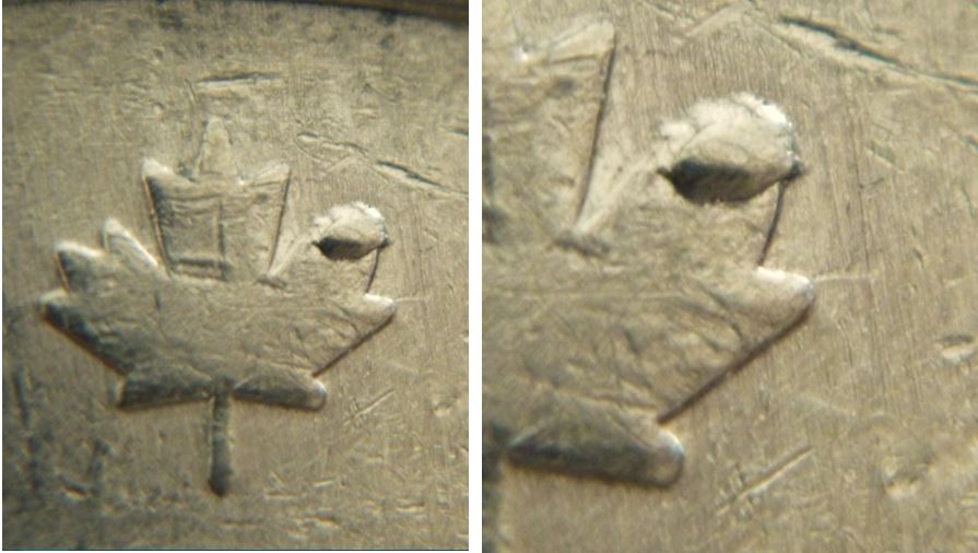 2 Dollars 2005-Éclat coin sur la feuille-2.JPG