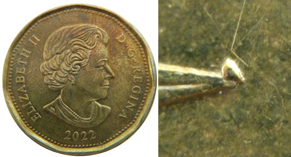 1 Dollar 2022-Éclat coin sur bec du Huard-1.JPG