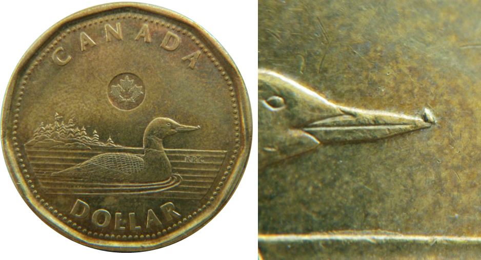 1 Dollar 2022-Éclat coin sur bec du Huard-2.JPG
