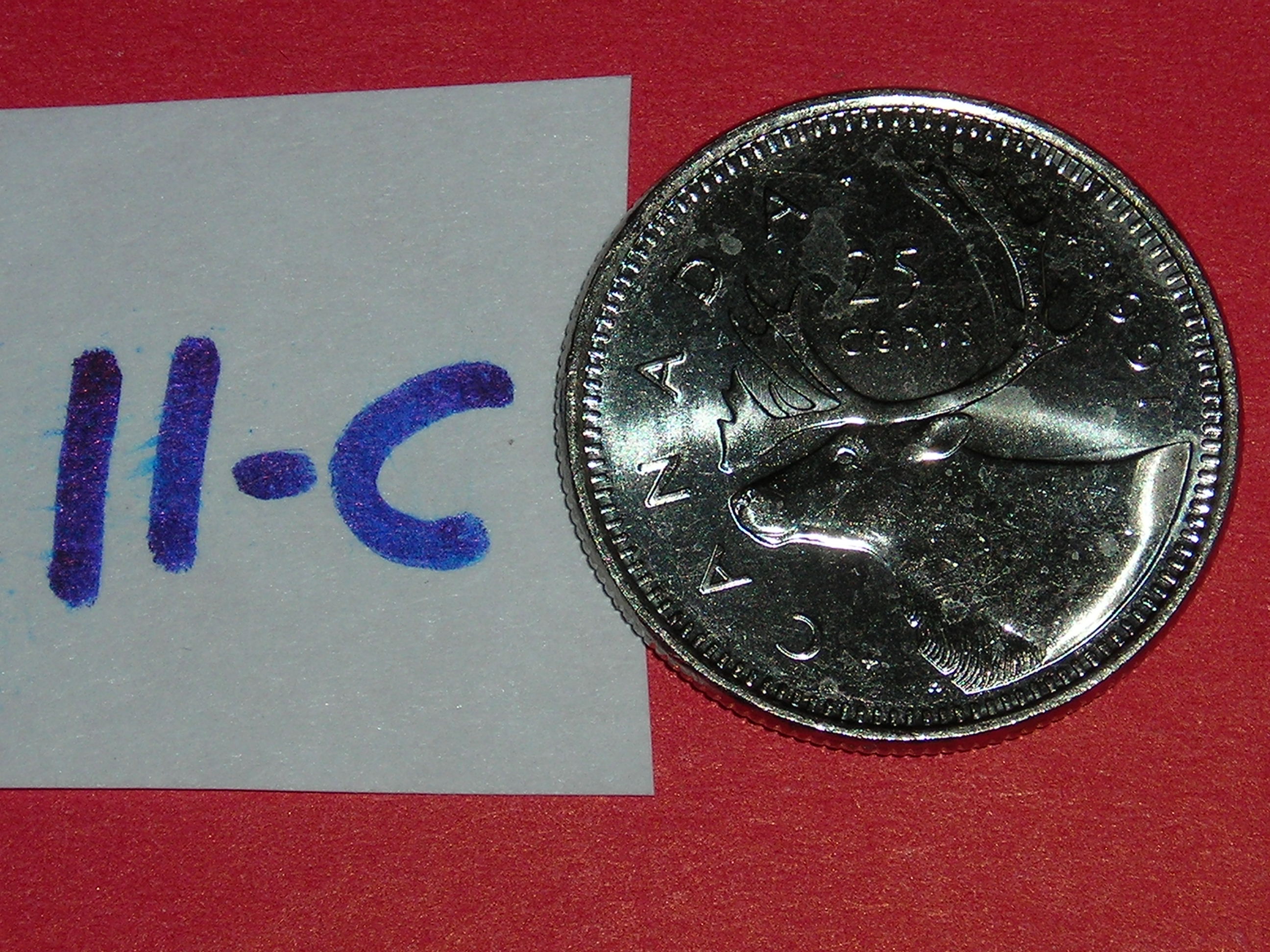 DSCN4297.JPG